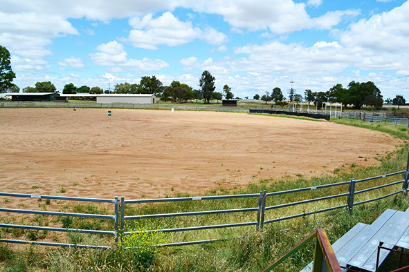 Cudal showground campdraft arena7